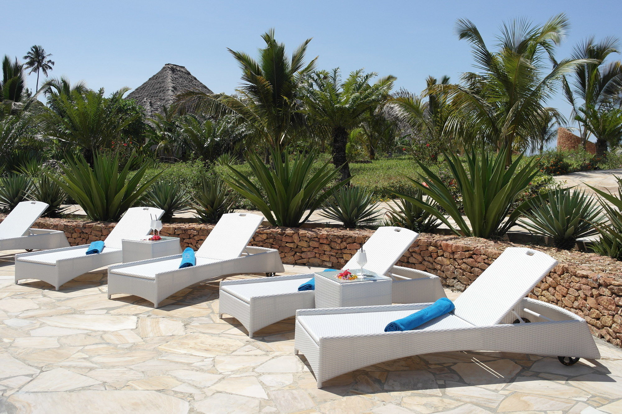 Фото Fruit & Spice Wellness Resort Zanzibar