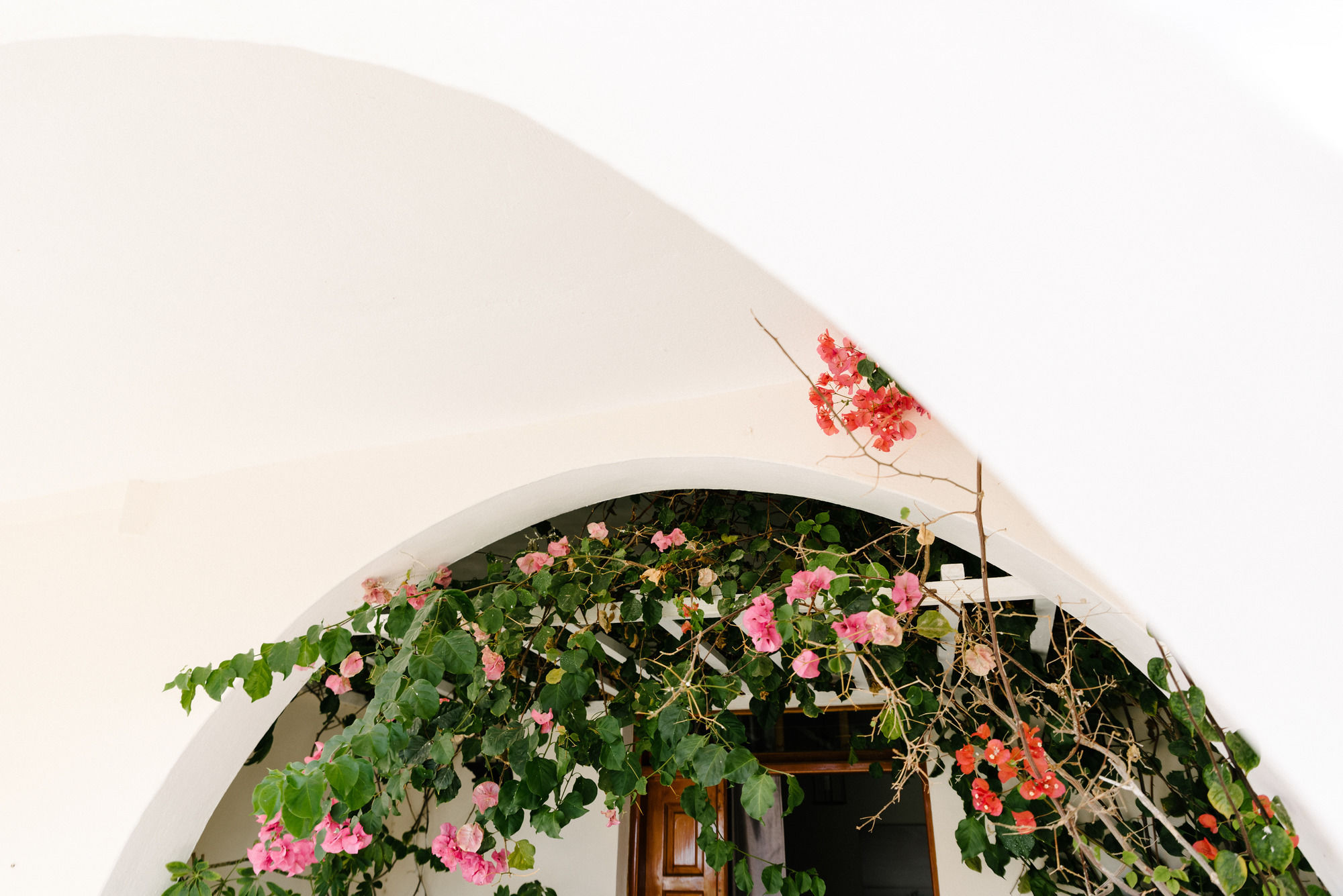 Фото Memento Perissa