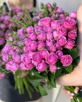 Галерея цветов (Mira Street, 12), flower shop