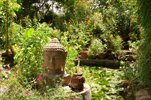 Внешний вид отеля Hotel Zen в Кхаджурахо, фото 3