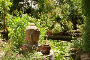 Гостиница Hotel Zen