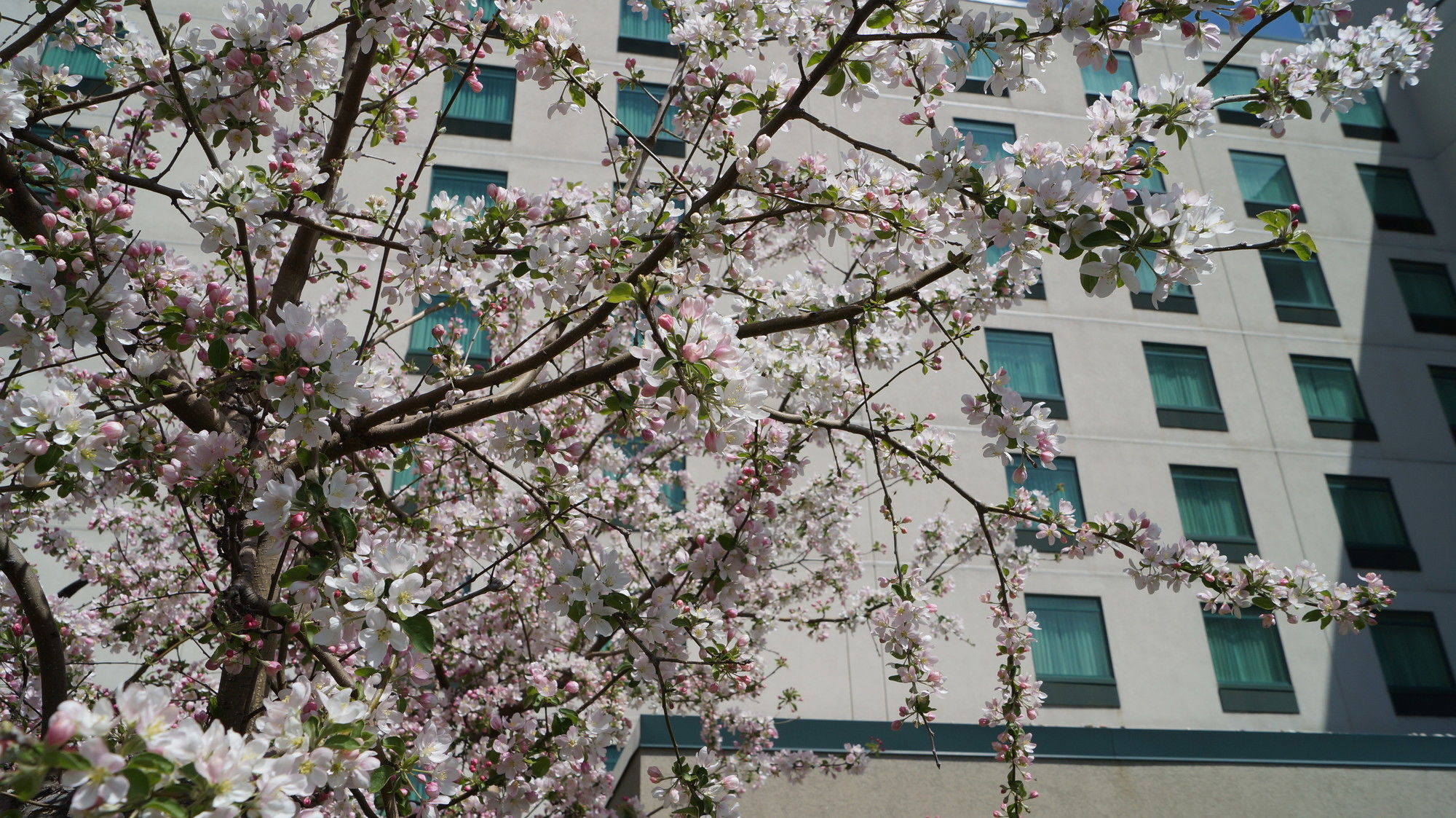 Фото Clarion Suites at the Alliant Energy Center
