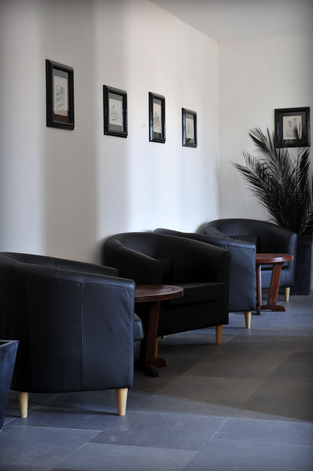 Фото Morabeza Hotel