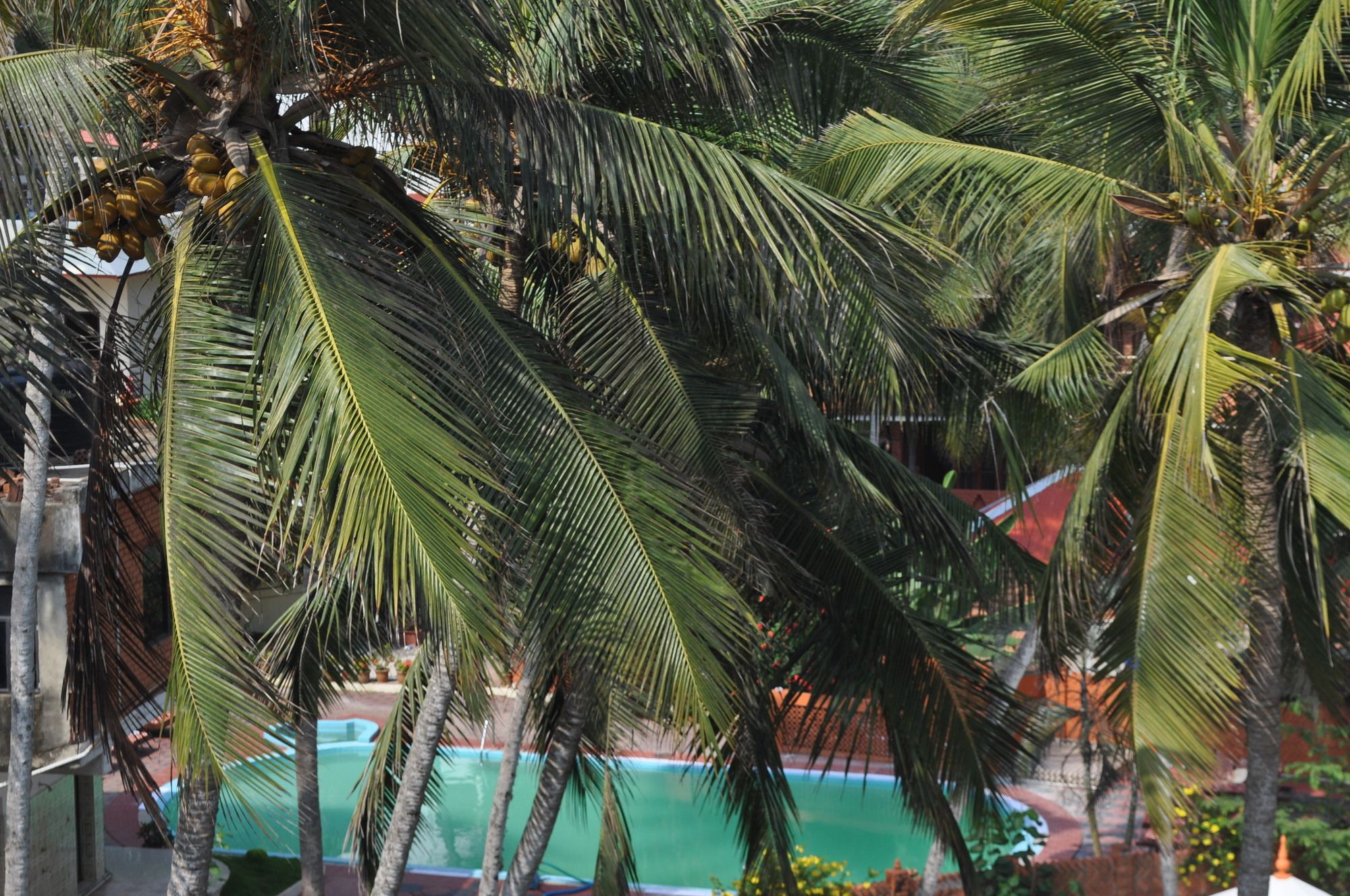 Фото Hotel Marine Palace