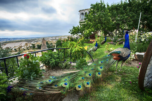 Внешний вид отеля Museum Hotel в Учхисаре, фото 5