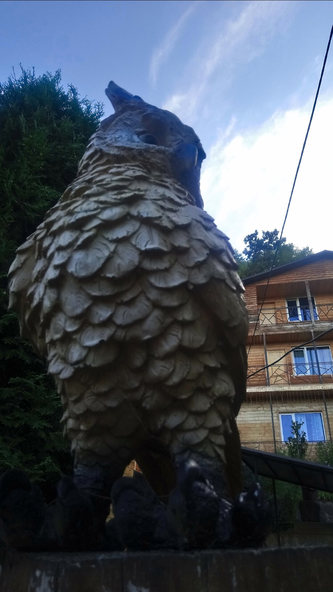 Фото Дом Совы