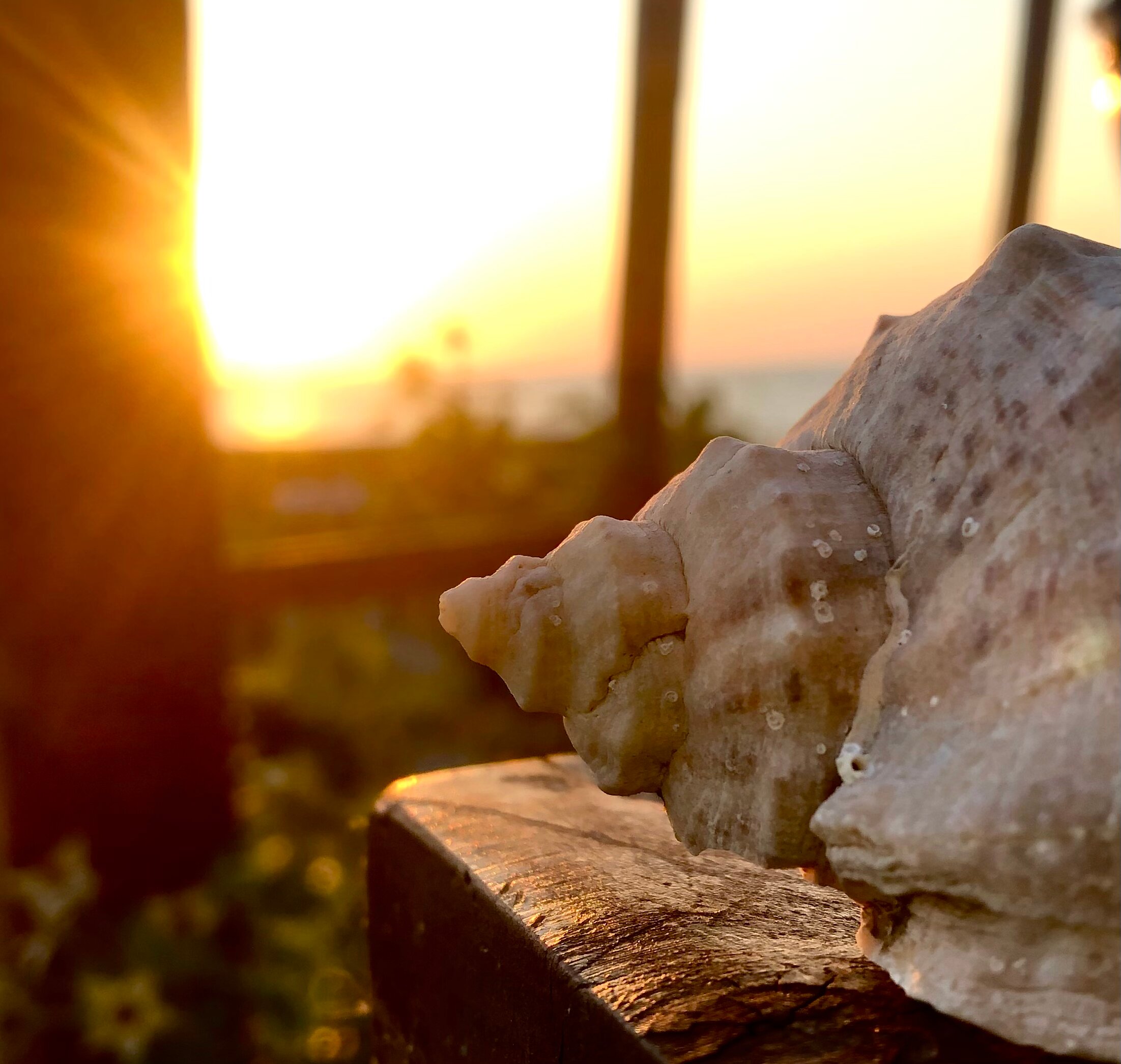 Фото Casa del Mar