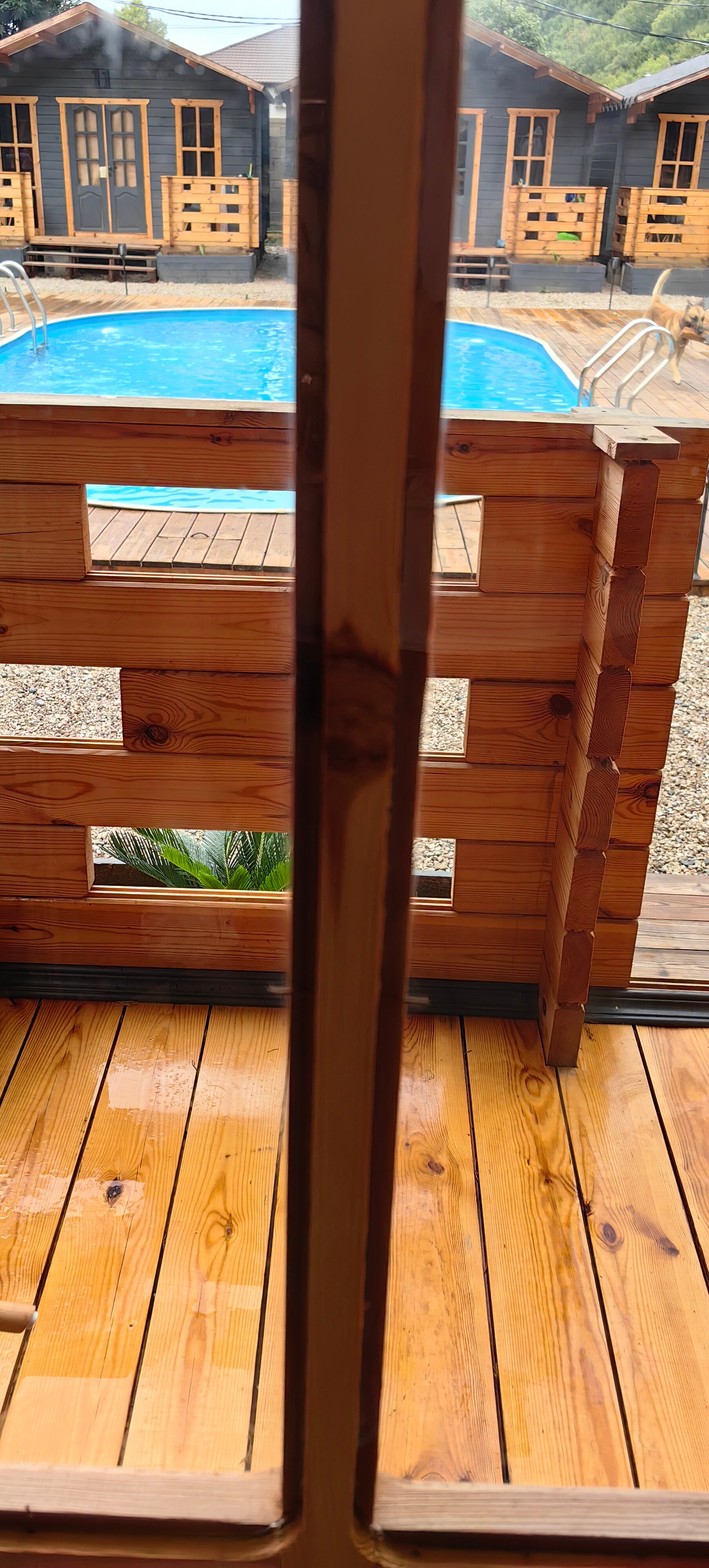 Фото Eco Hotel Luna