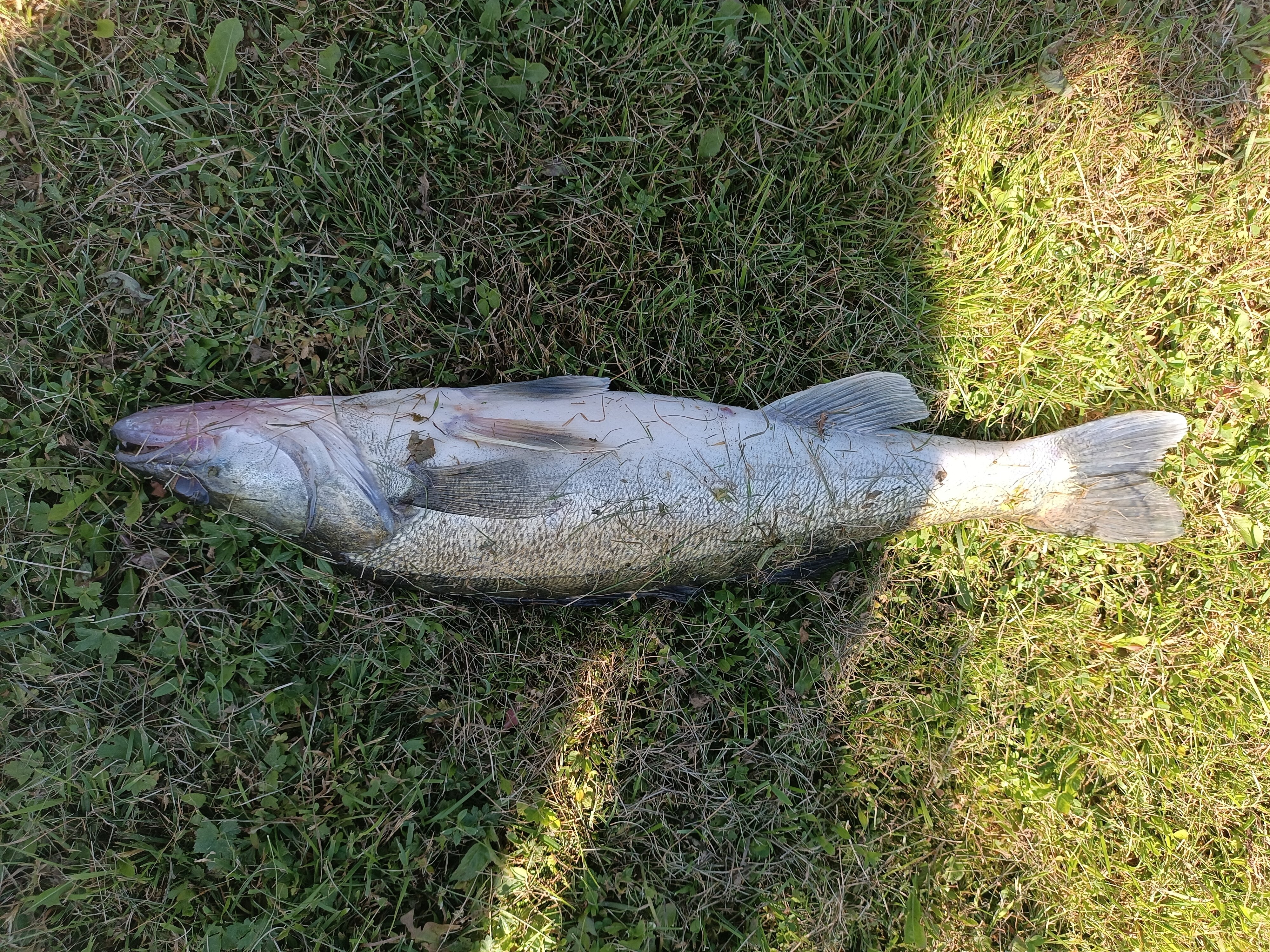 Фото Ура, Селигер!