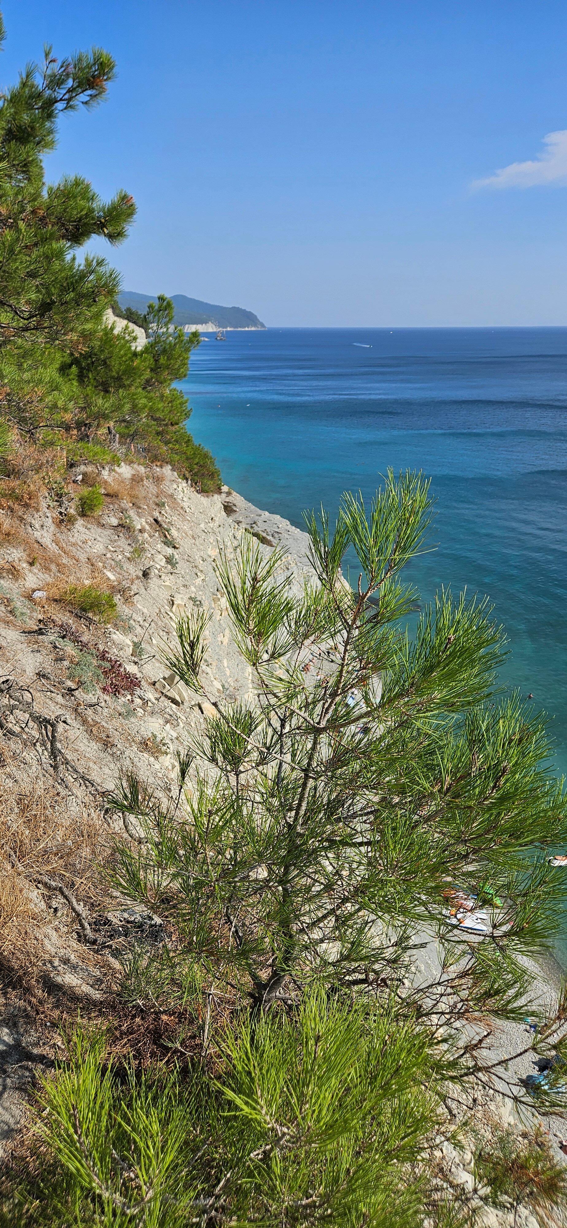 Фото Сосновка