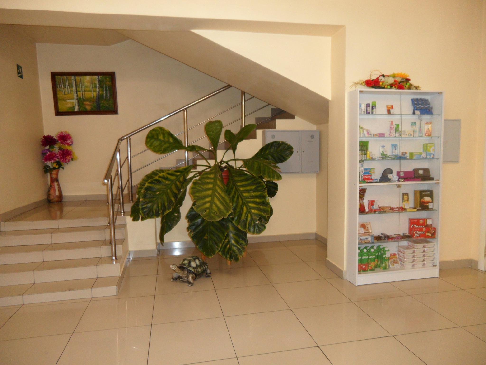 Фото Березка