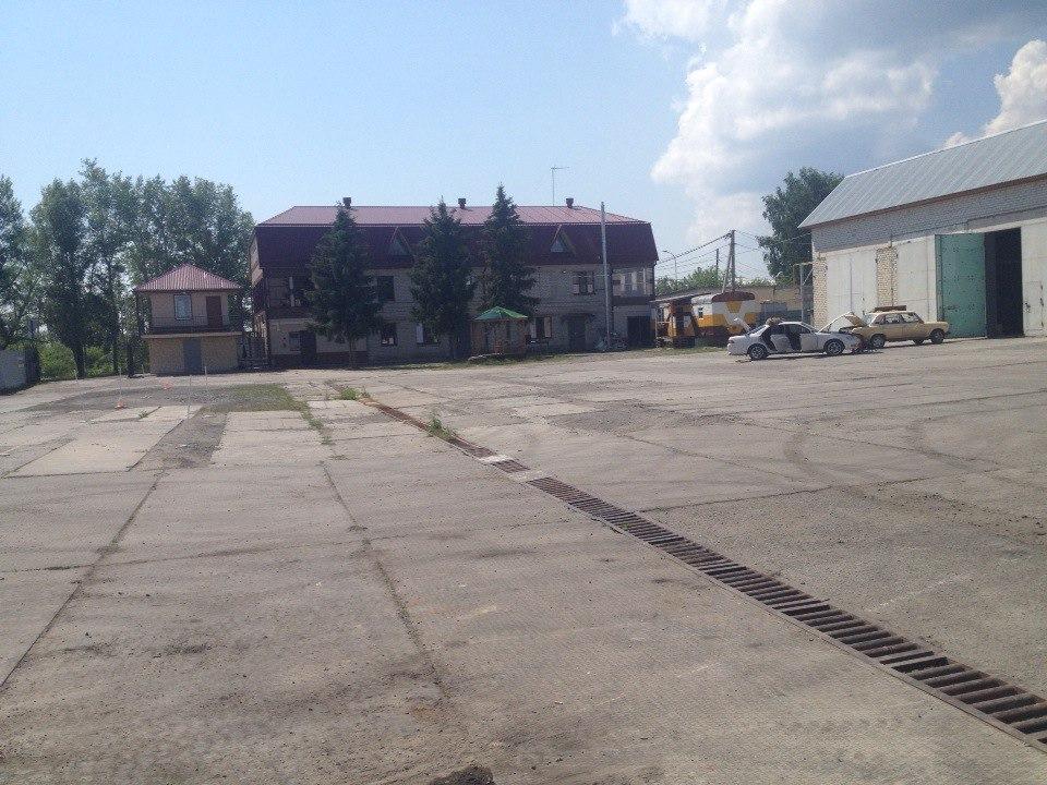 Фото Путник