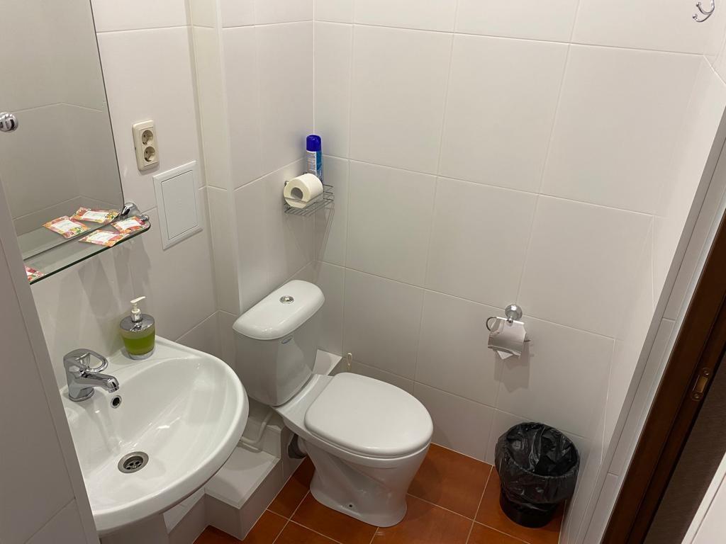 Фото Азалия