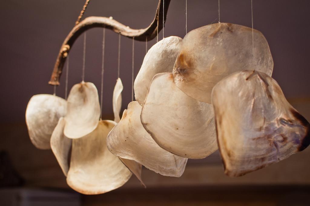 Фото Южный Ветер