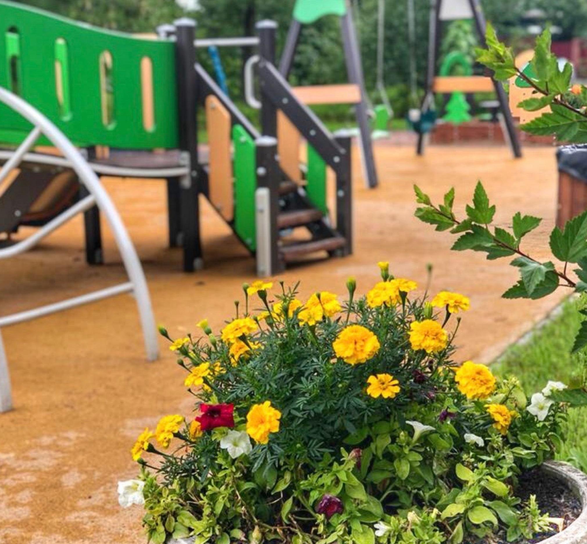 Фото Ёлкина