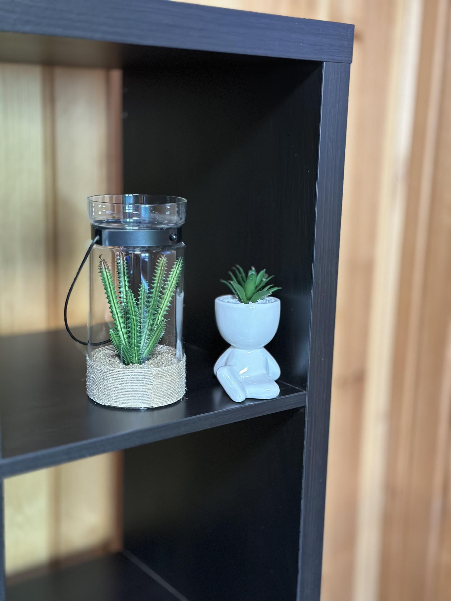 Фото Силагор