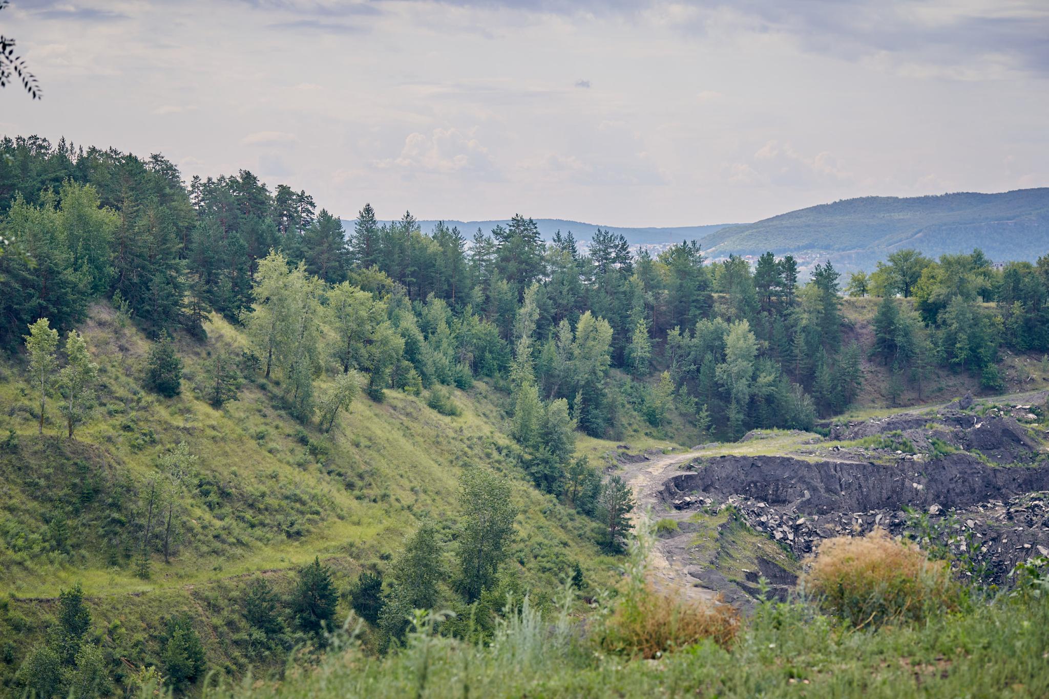 Фото Ловчий плюс