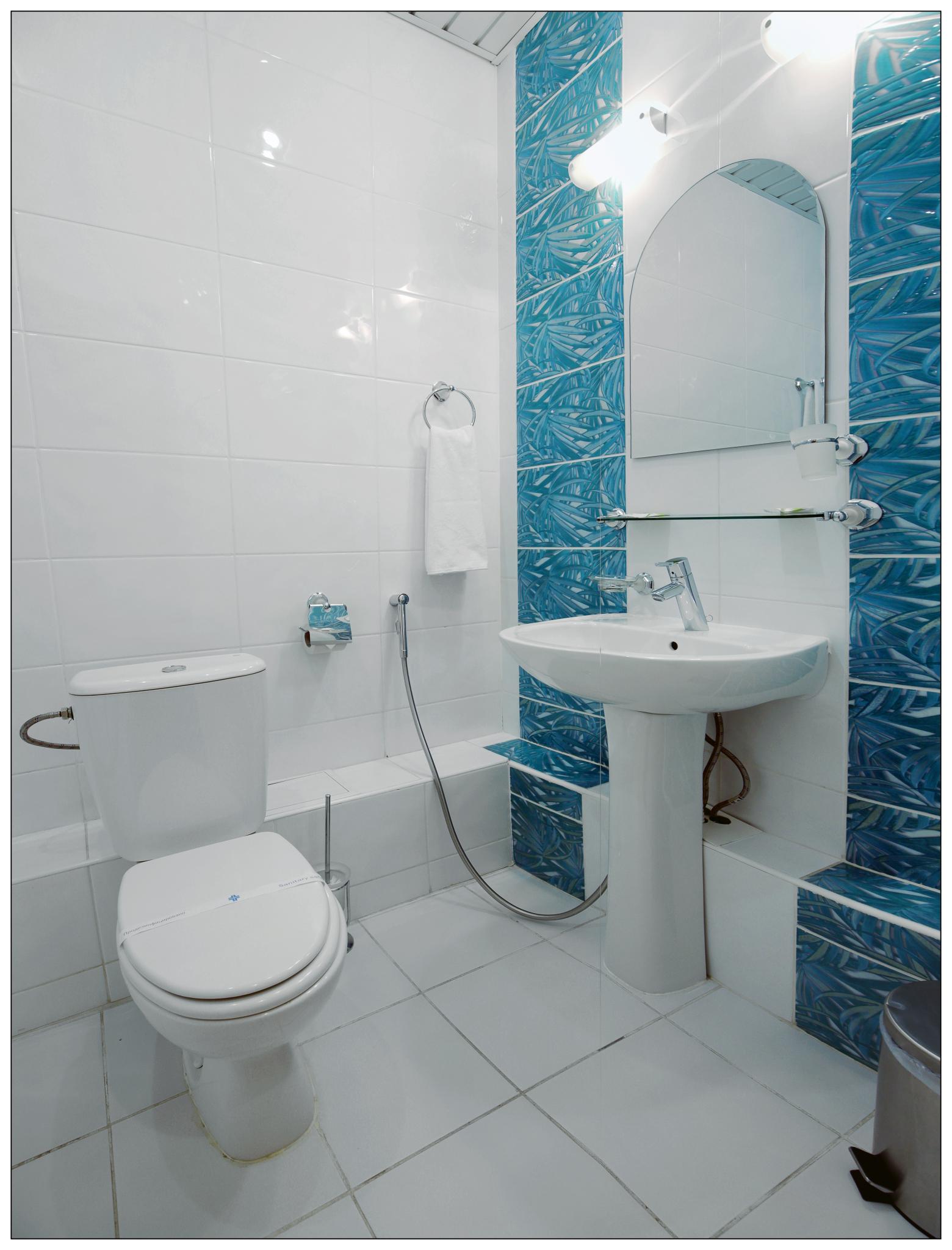 Фото Колибри