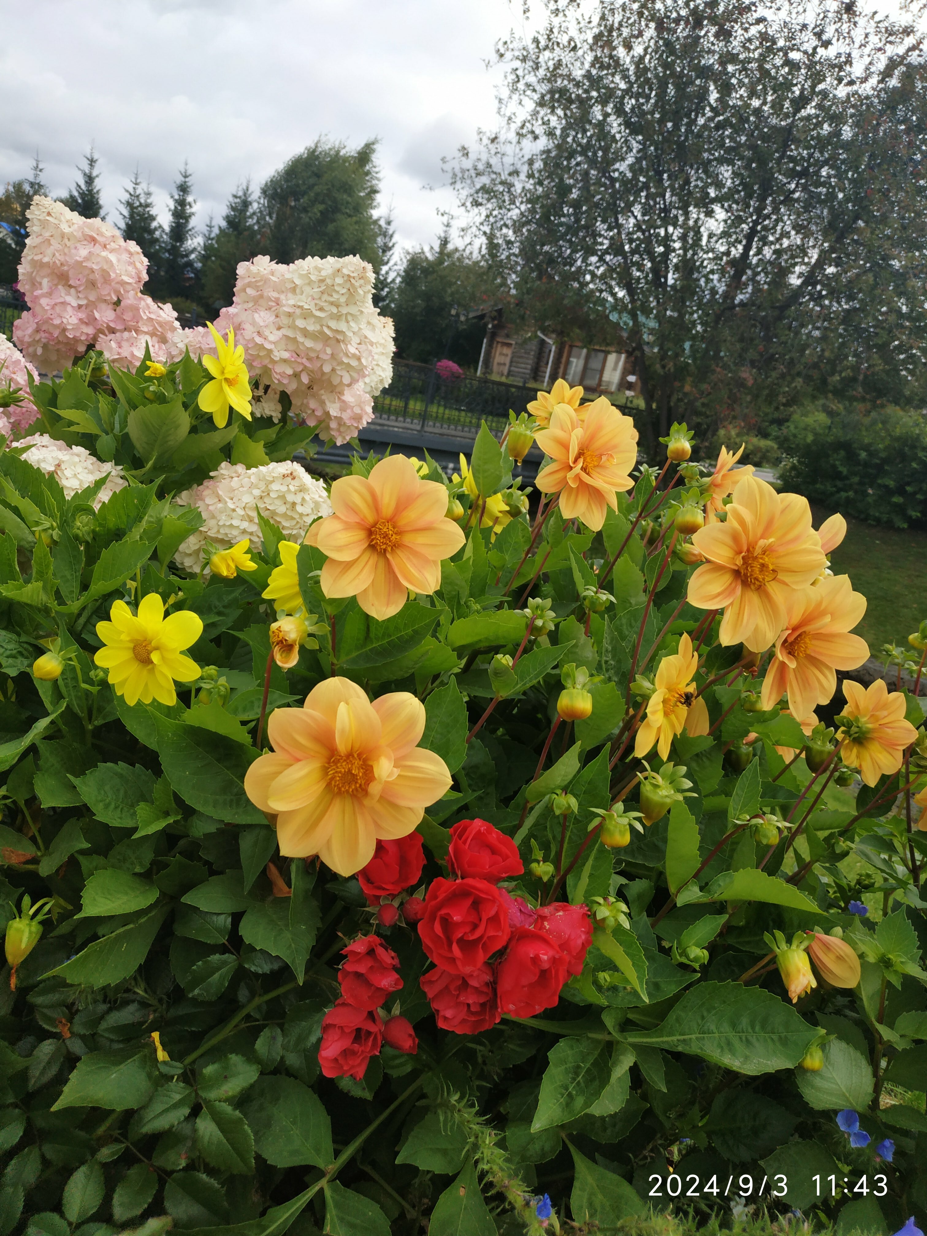 Фото Раздолье