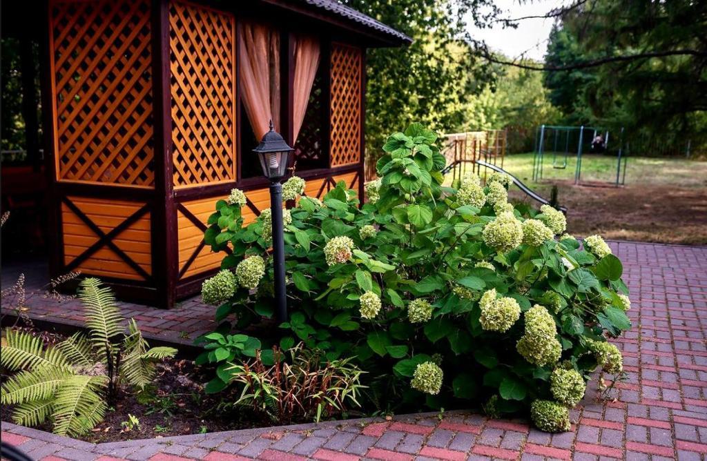 Фото Разгуляй