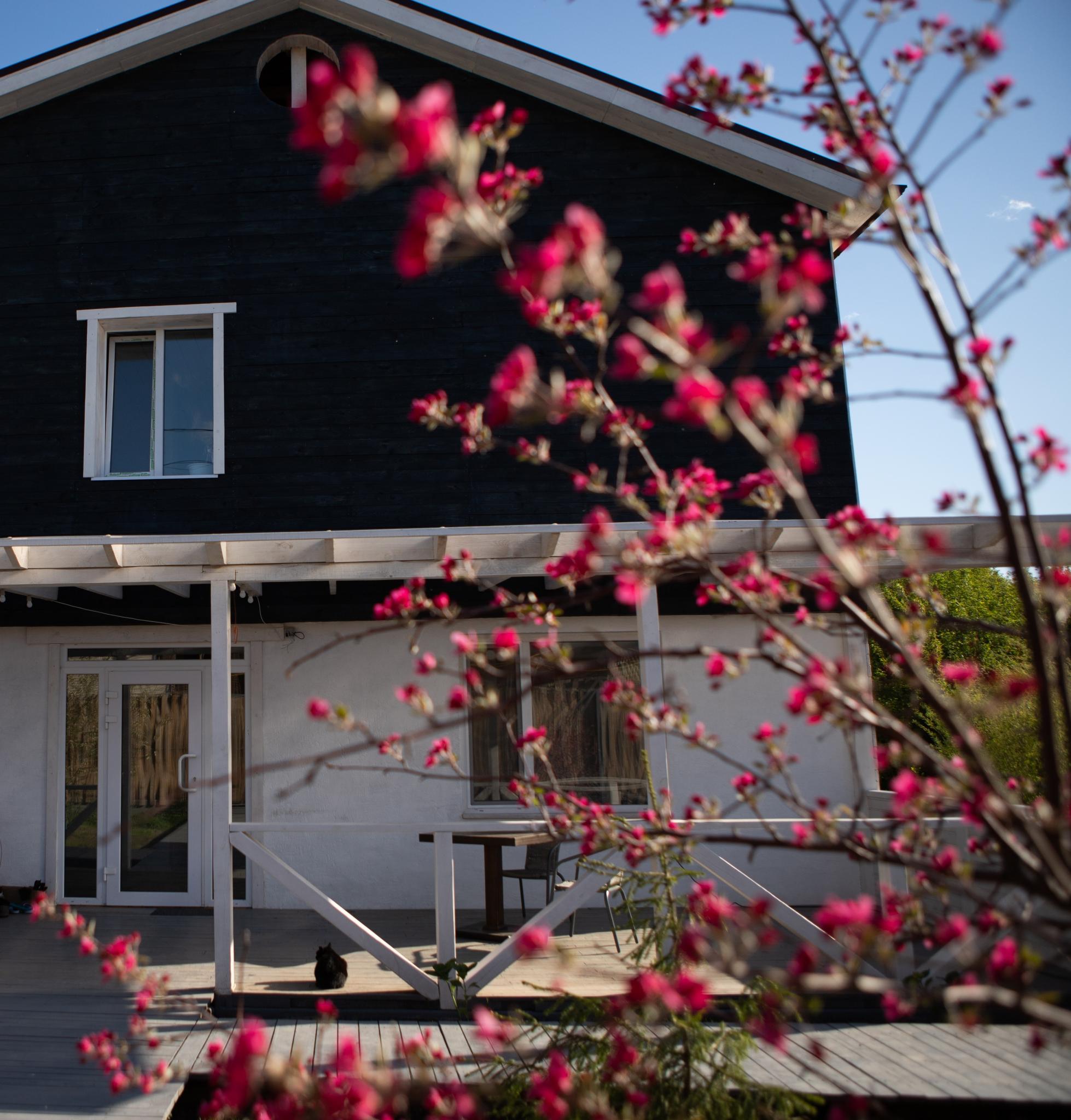 Фото Клубный дом Идрисов