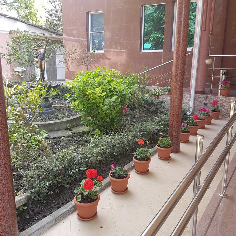 Фото Алая Роза