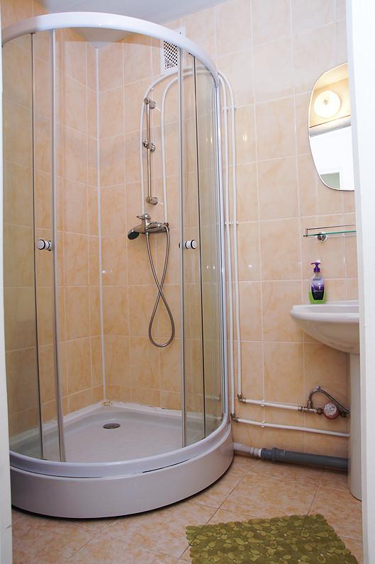 Фото Дружба