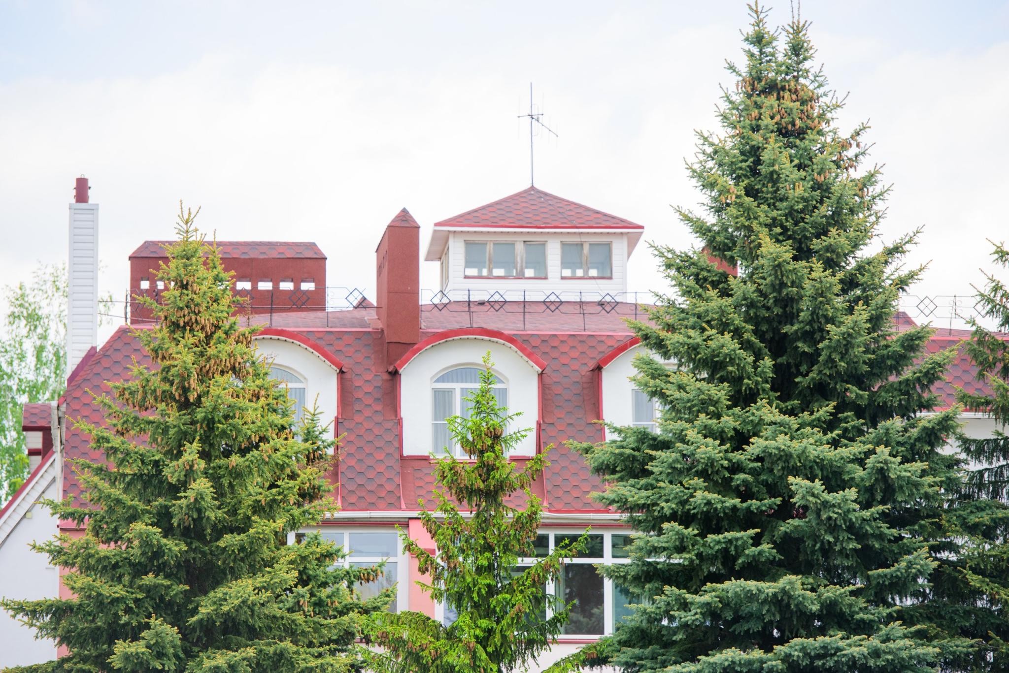 Фото Эврика