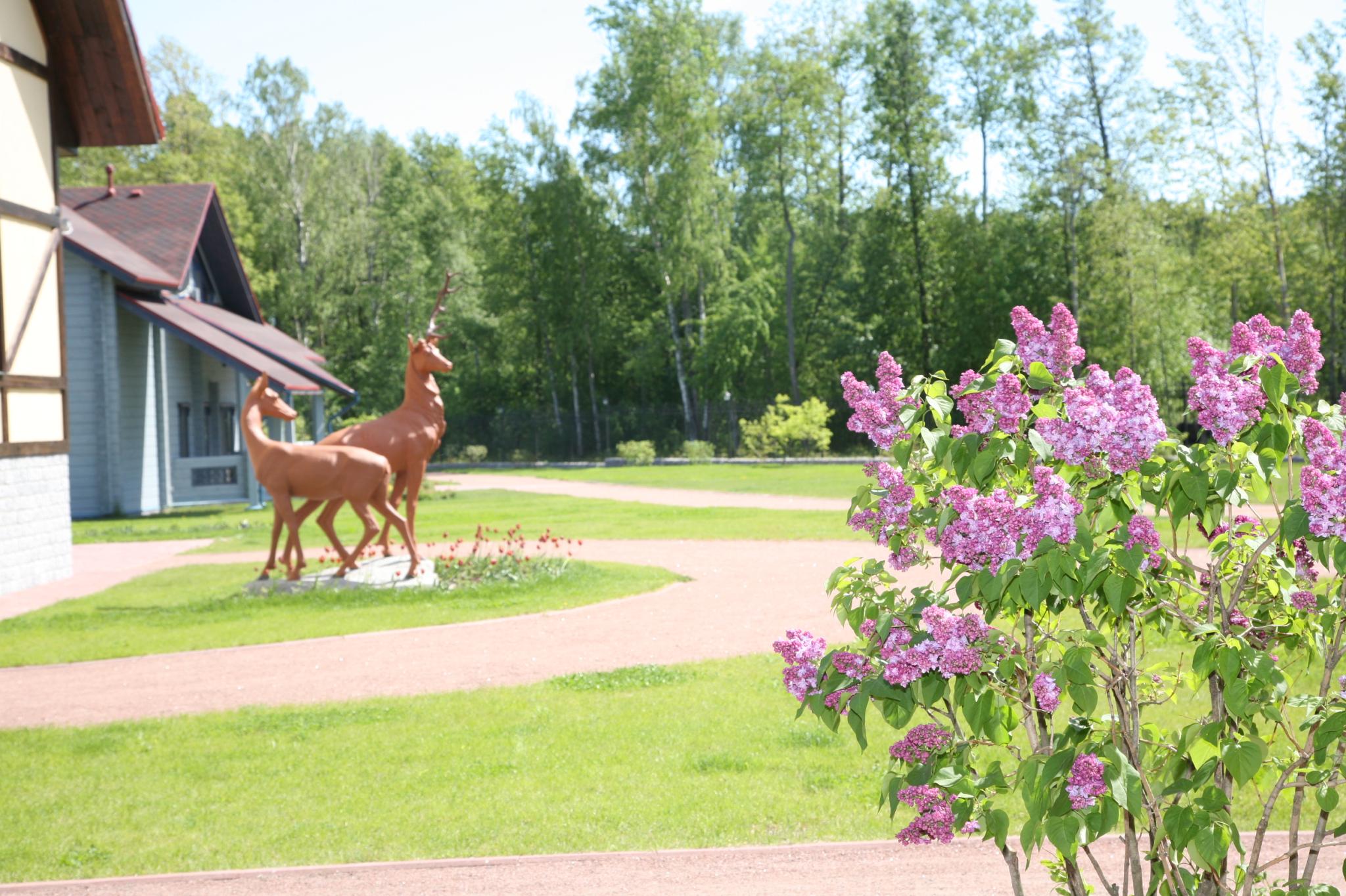 Фото Пихтовое