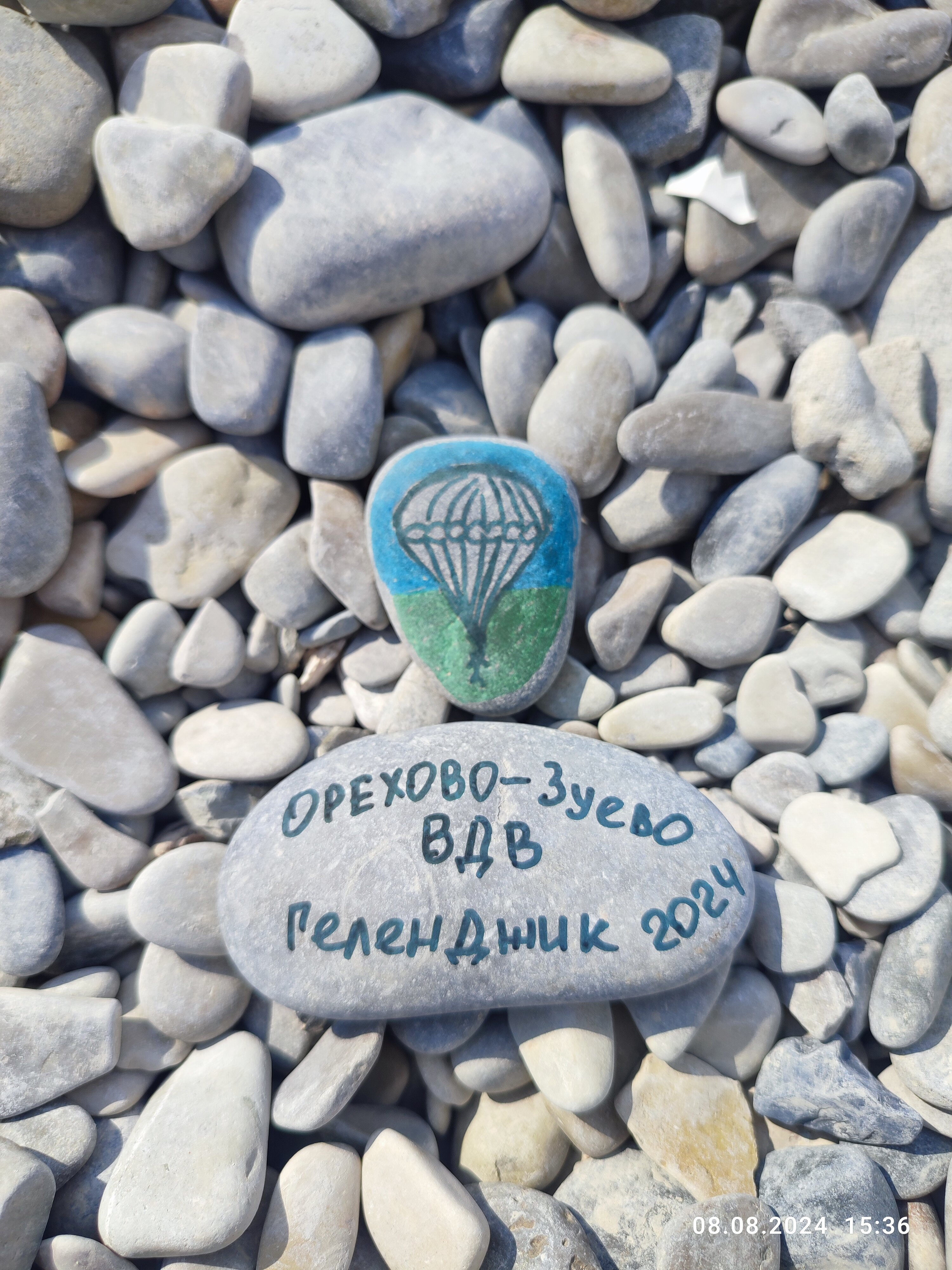 Фото Сосновка