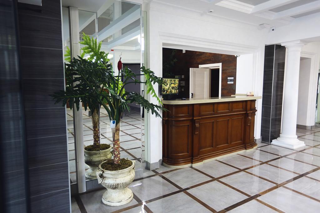 Фото Золотой дракон