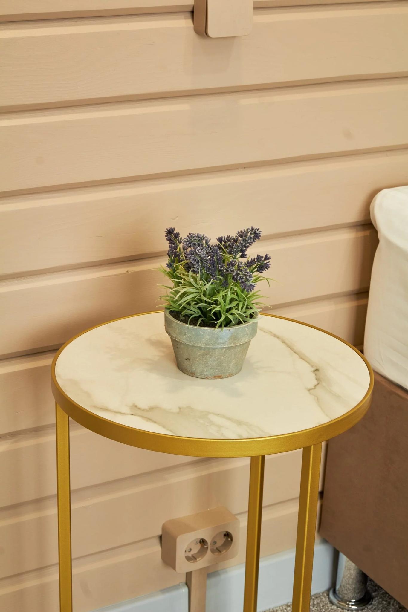 Фото Северный ветер