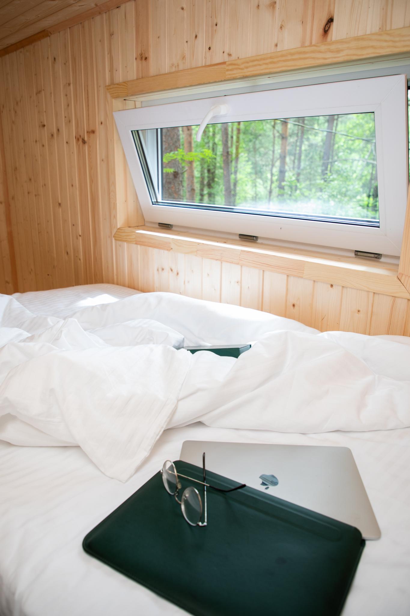 Фото Камышла Парк