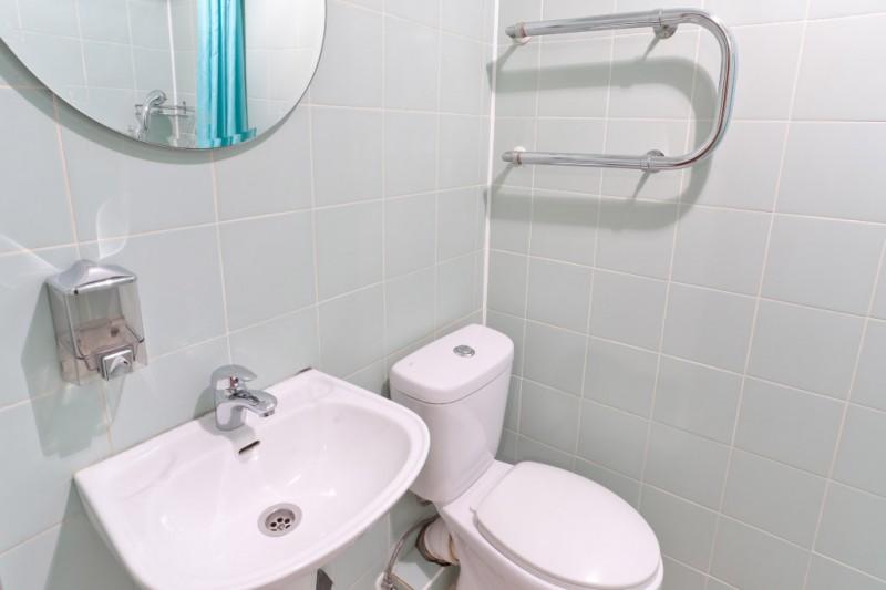 Фото Березка