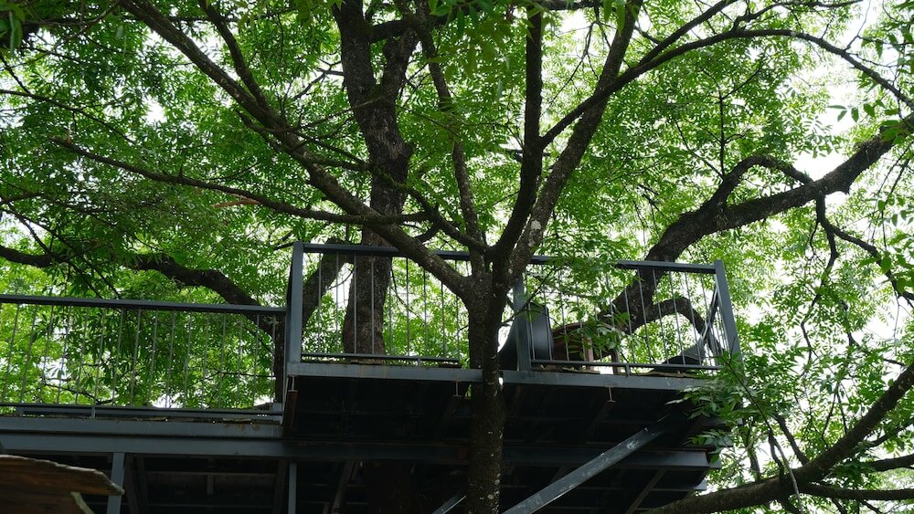 Фото Sapa Chill Retreat