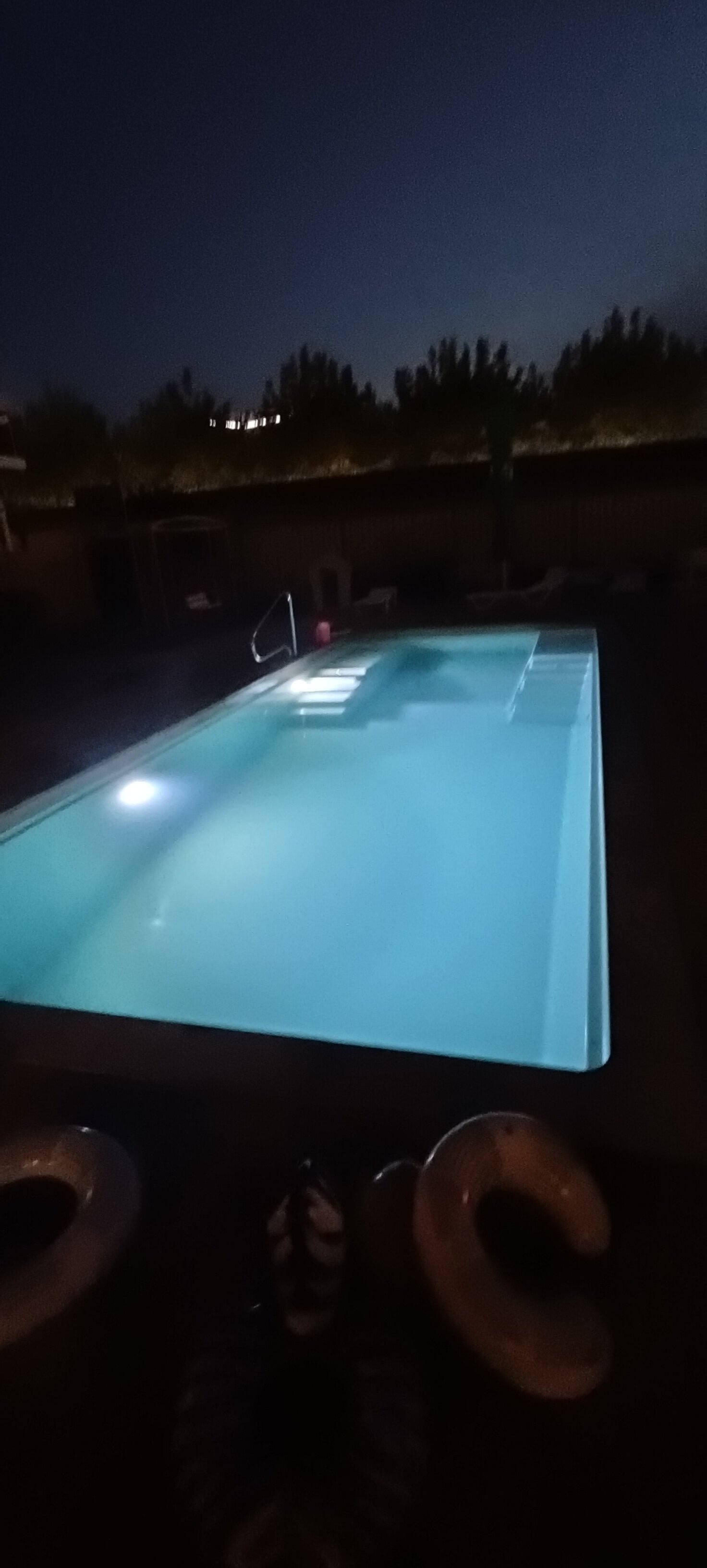 Фото Магнолия