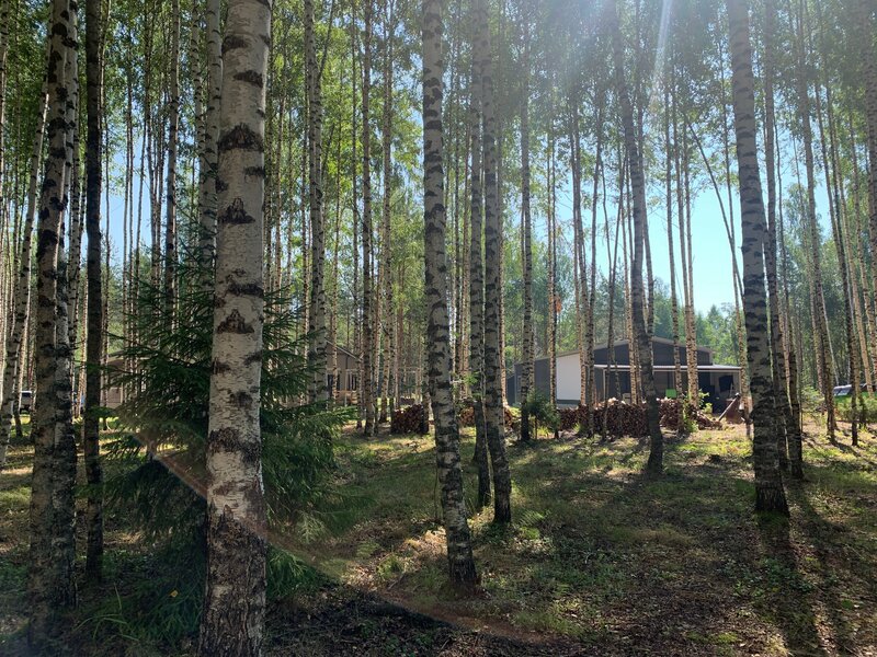 Эко-усадьба Горностай — фото 37