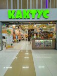 Kaktus (Solnechnaya Street, 2с4), play room