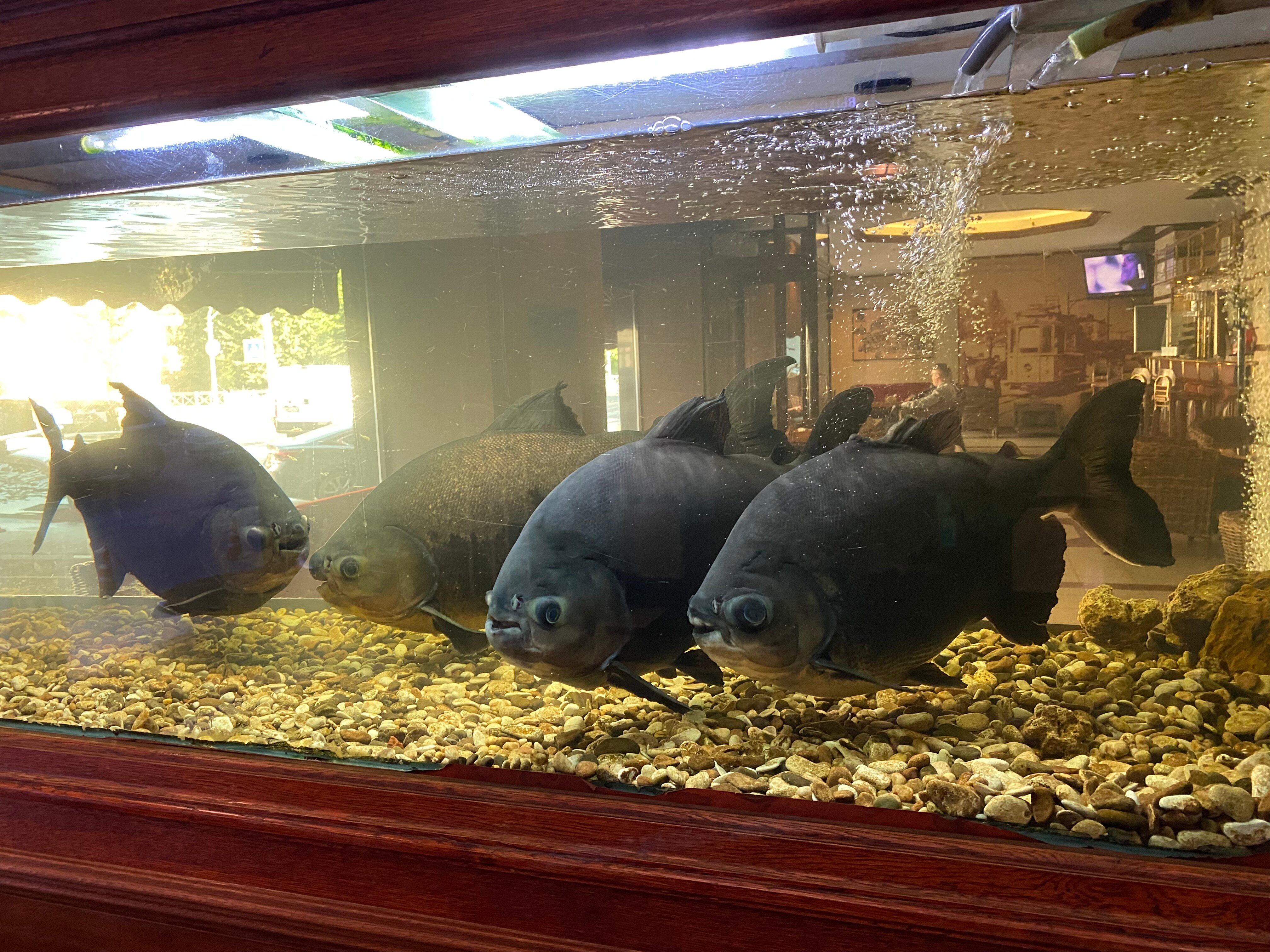 Фото Гостиница Выборг