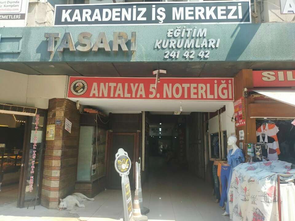 Insurance broker Reverans Sigorta, Antalya, photo