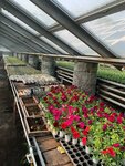 Егоршинский лесопитомник (ulitsa Lesopitomnik, 8), plant nursery