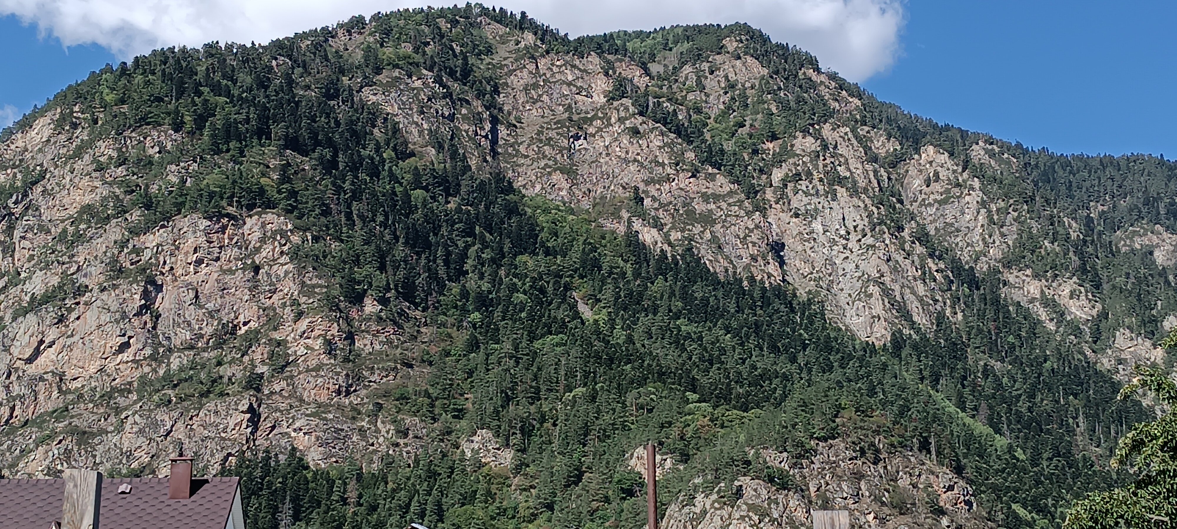 Фото Райские яблоки