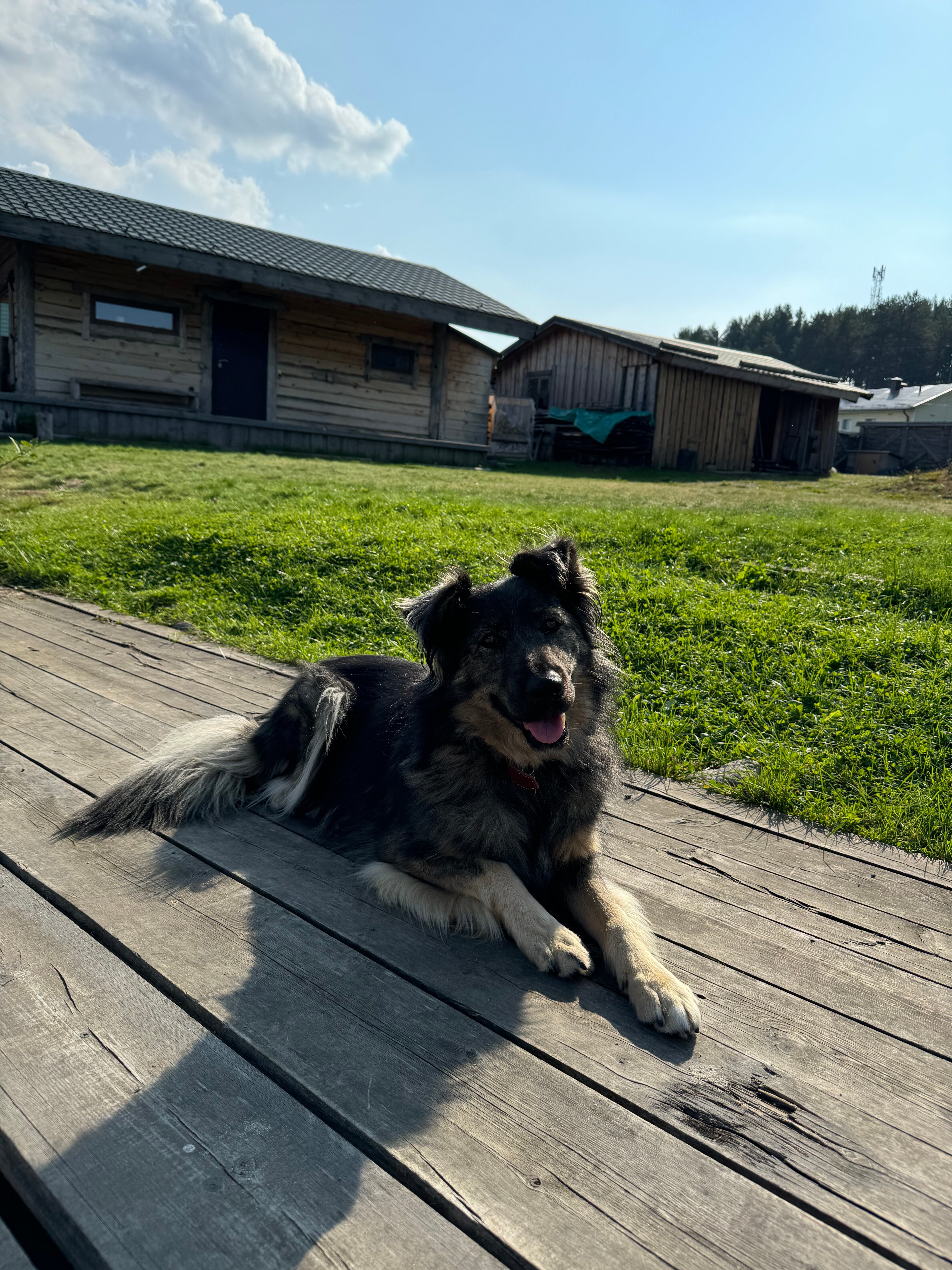 Фото Kramer's Home