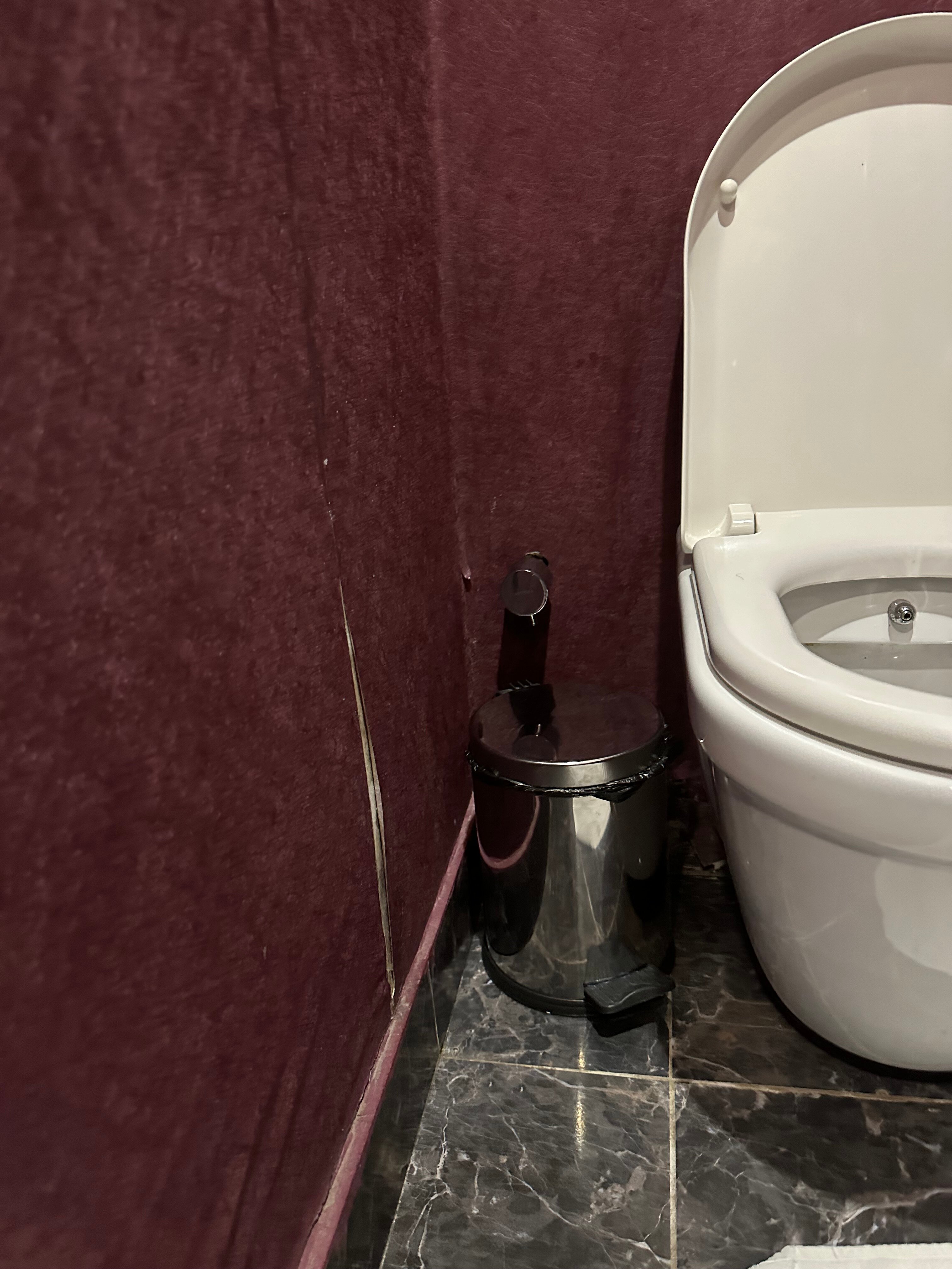 Фото Euphoria Hotel Batumi