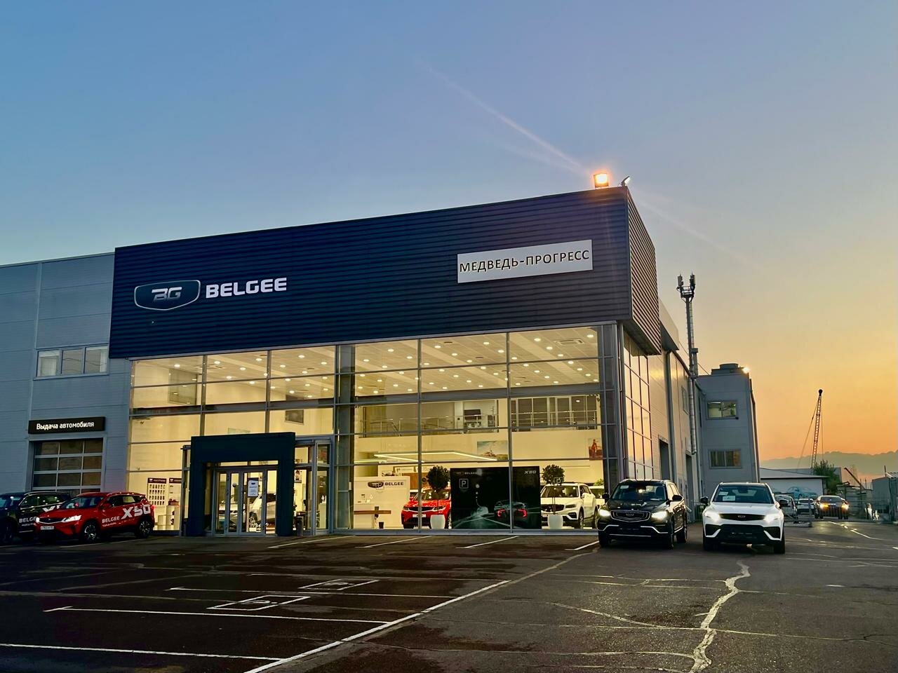 photo Belgee Медведь Альянс