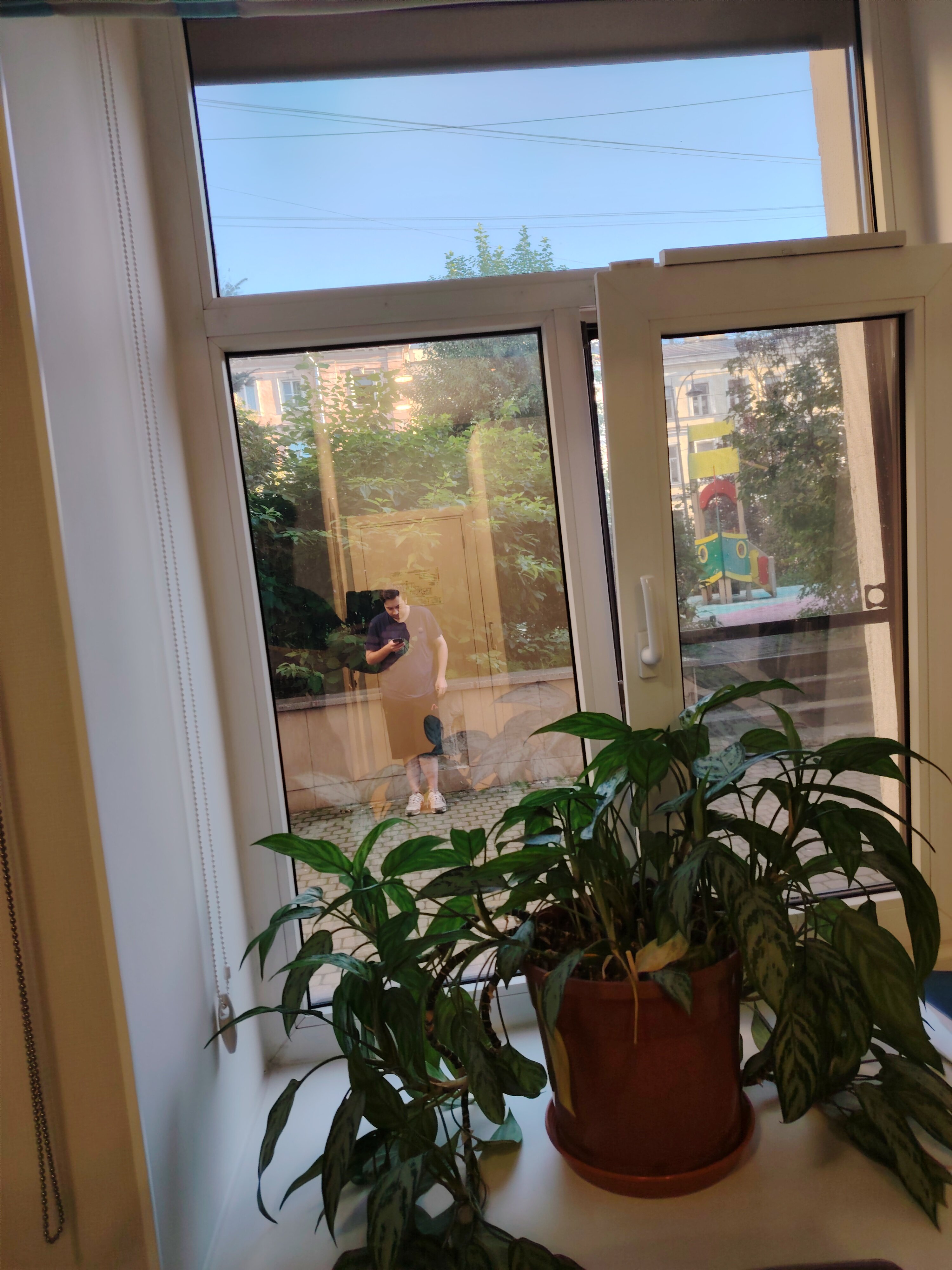 Фото Паллада