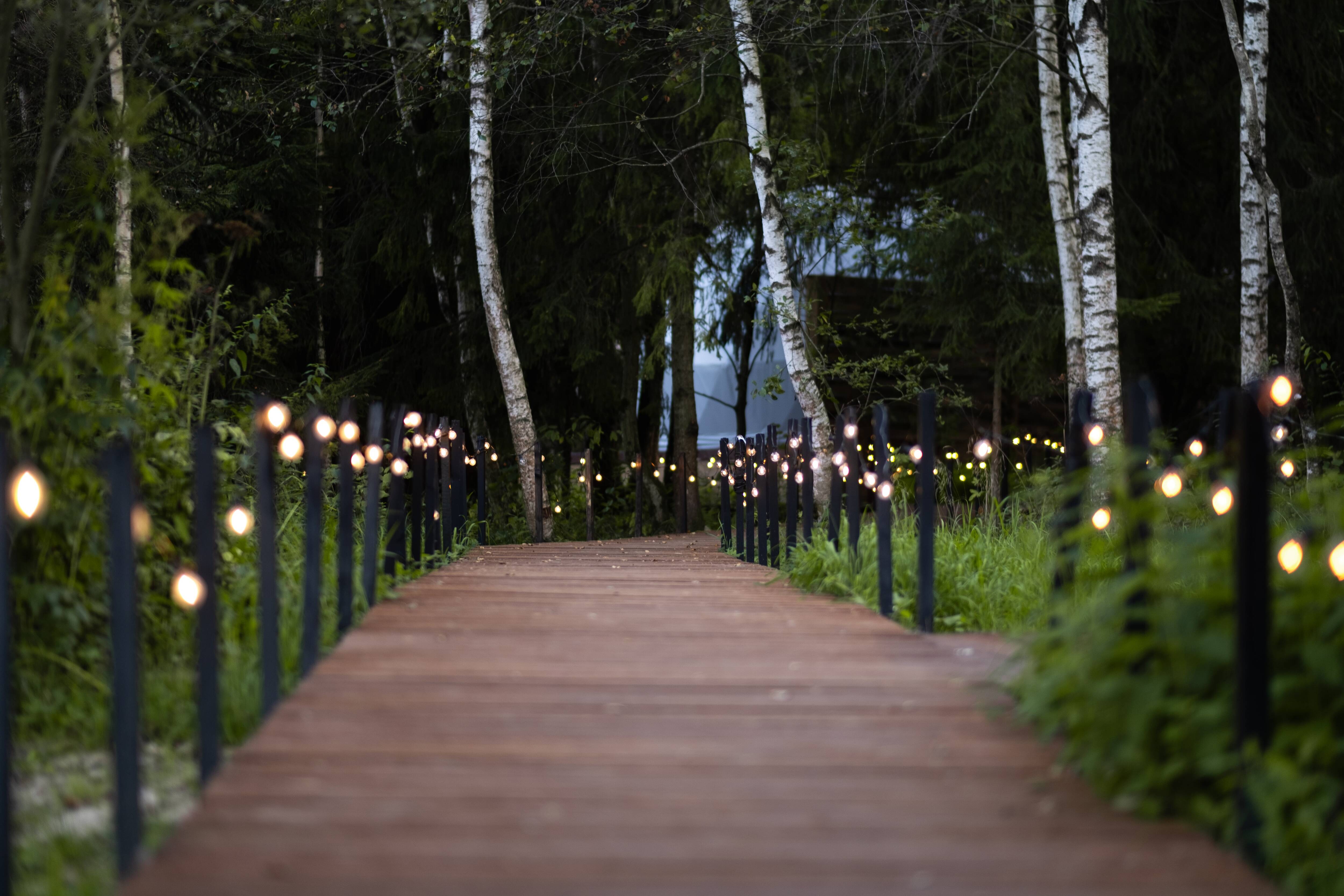 Фото В Кронах ‎