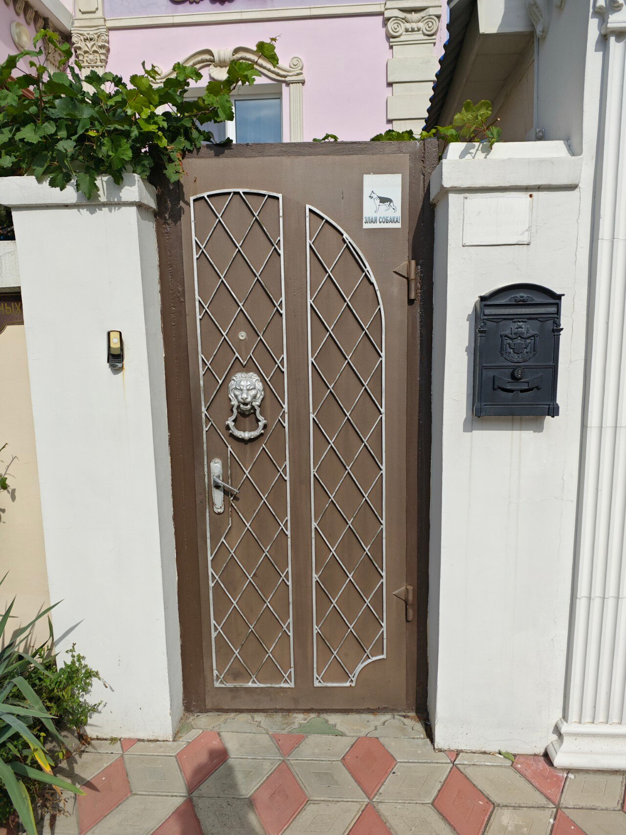 Фото Морская звезда