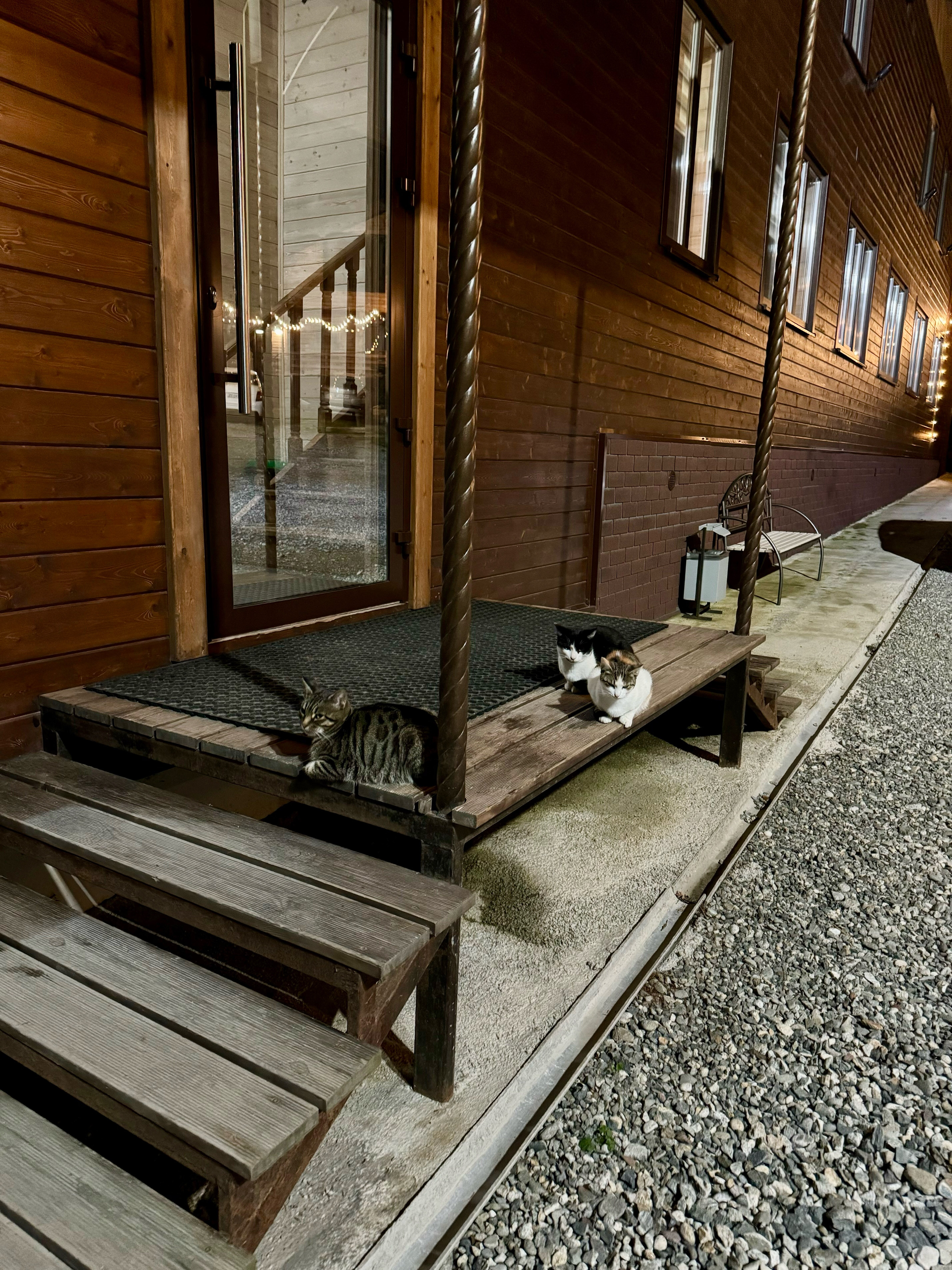 Фото Горная Лаванда