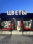 София (stanitsa Krylovskaya, Pervomayskaya ulitsa, 32Б), flower shop